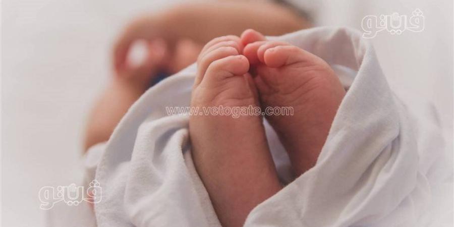 تحقيقات موسعة وتفريغ كاميرات المراقبة في واقعة العثور على جثة رضيع بالشرقية - المدينة برس