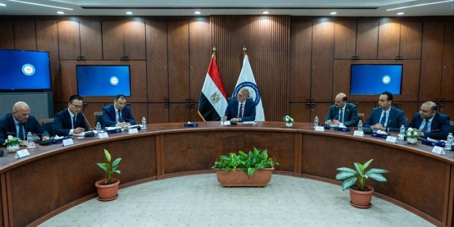 مصر والصين تدفعان بمشروعات في قطاع البتروكيماويات وتوطين بعض المنتجات - المدينة برس