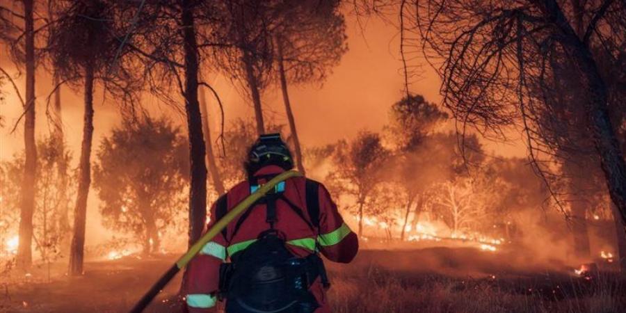 وسط مخاوف من اندلاع أكبر حريق فى التاريخ الحديث، إسبانيا تحذر من موجة حر استثنائية - المدينة برس