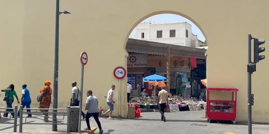 الإرشاد المزيف يربك السياح - بوابة المدينة برس