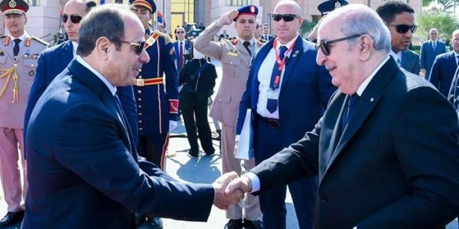 الرئيس الجزائري: نحن مع مصر بخندق واحد وهناك دويلة عربية لا يأتي منها إلا الخراب - المدينة برس