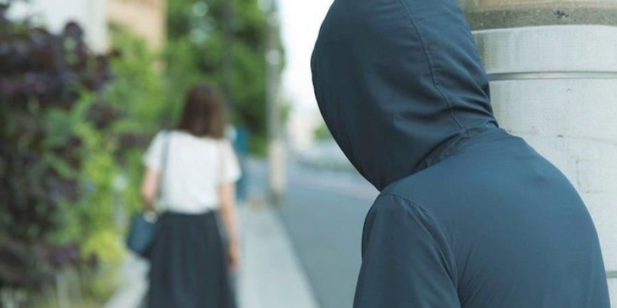 اليابان تدرس تعقب مرتكبي "جرائم المطاردة" - بوابة المدينة برس