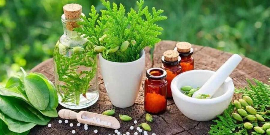 وصفات طبيعية لتقليل تأثير الهواء الساخن على الشعر وترطيبه - المدينة برس