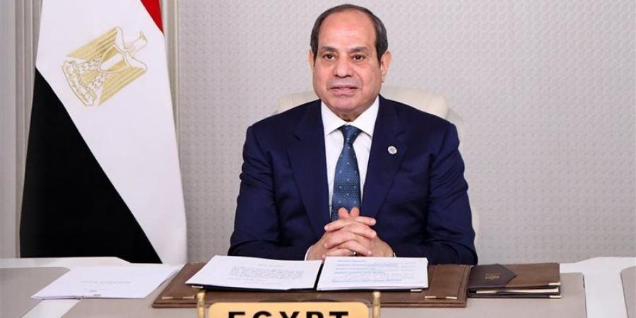 السيسي يؤكد تضامن مصر الكامل مع الجزائر في مواجهة الحرائق - المدينة برس