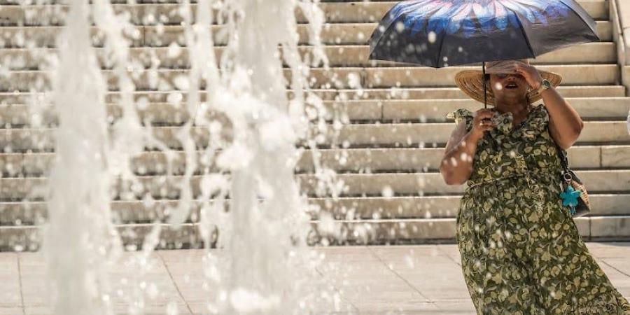 ظلال وارفة تحمي سكان بروكسل من موجة الحر - بوابة المدينة برس