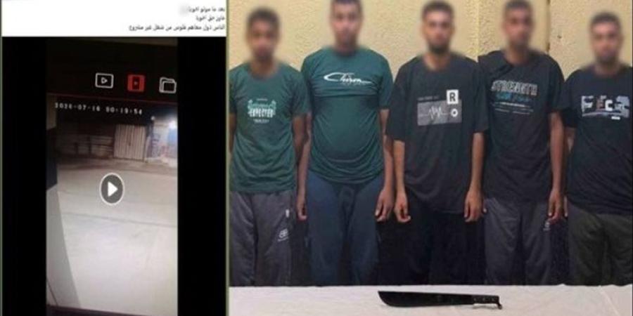 خلاف على تحميل الكرتون يتحول لجريمة قتل بالمنوفية، مشاجرة تنتهي بمصرع شاب وضبط المتهم - المدينة برس