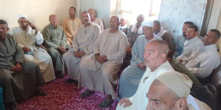 زراعة الفيوم تعقد ندوة إرشادية عن العناية بمحصول القطن خلال شهر أغسطس - المدينة برس