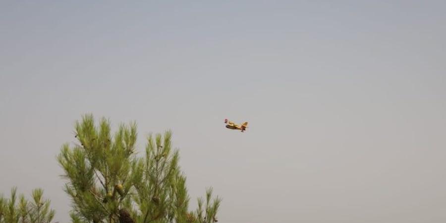 "حريق تغزراتين" يستنفر جهود تازة - بوابة المدينة برس