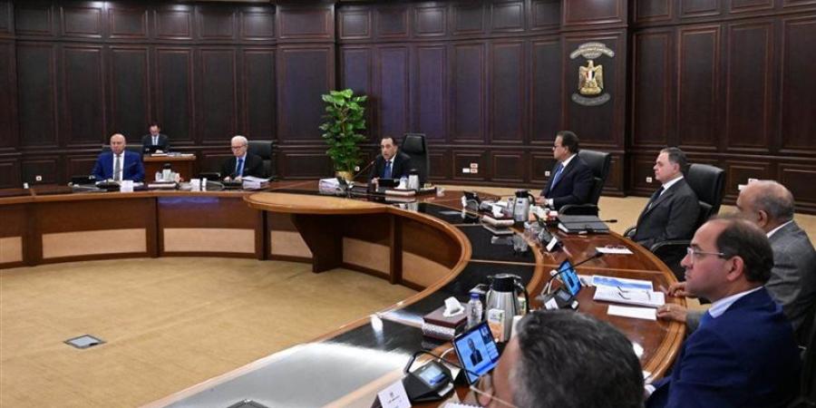 مجلس الوزراء يناقش تداعيات حريق سفينتي دمياط.. وعودة العمل بالميناء بكامل طاقته (صور) - المدينة برس