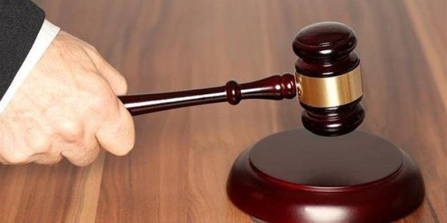 تفاصيل جلسة محاكمة عاطل متهم بقتل صديقه في السيدة زينب - المدينة برس