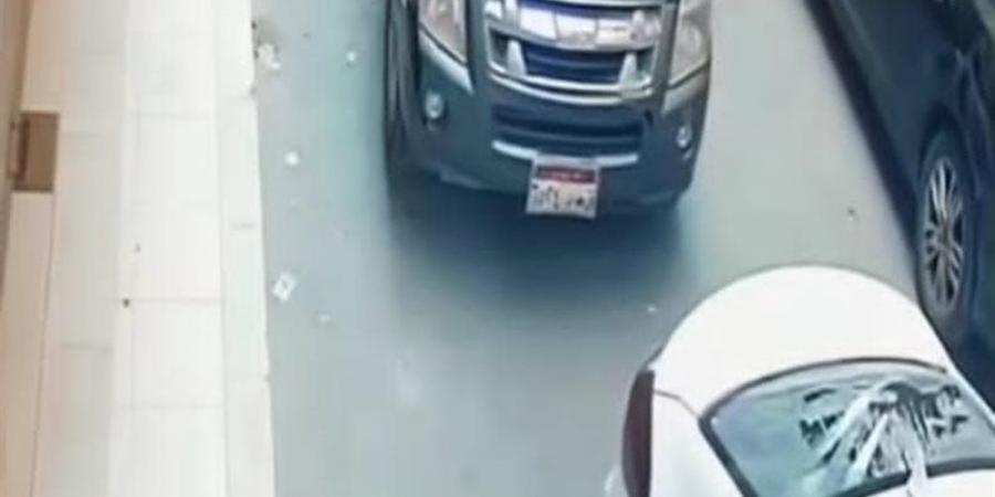 "هكسر أي عربية تسد الشارع"، شخص وسيدة وكلب شرس يحطمون سيارات المواطنين ببنها - المدينة برس