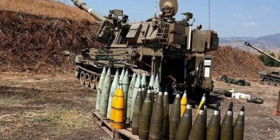 العفو الدولية: الهند أرسلت 2596 شحنة أسلحة لإسرائيل خلال حرب غزة - المدينة برس