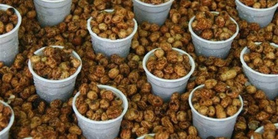 فوائد حب العزيز وأضرار الإفراط في تناوله - المدينة برس