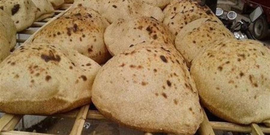 "التموين" تتابع مع شعبة المخابز انتظام تطبيق منظومة الخصم المباشر - المدينة برس