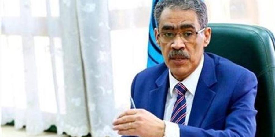 ضياء رشوان ينفي مزاعم "وول ستريت جورنال" بشأن حادث ميناء دمياط - المدينة برس