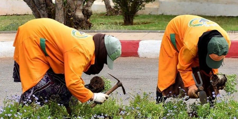 وزارة الداخلية تضيق الخناق على توظيف المياومين خارج الإطار القانوني - بوابة المدينة برس