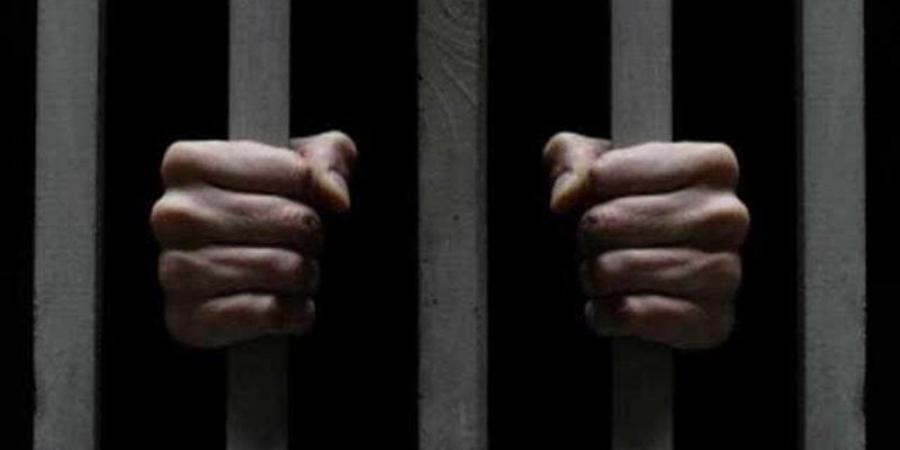حبس سائق ميكروباص 4 أيام بعد دهس شخص وإصابة اثنين في جسر السويس - المدينة برس