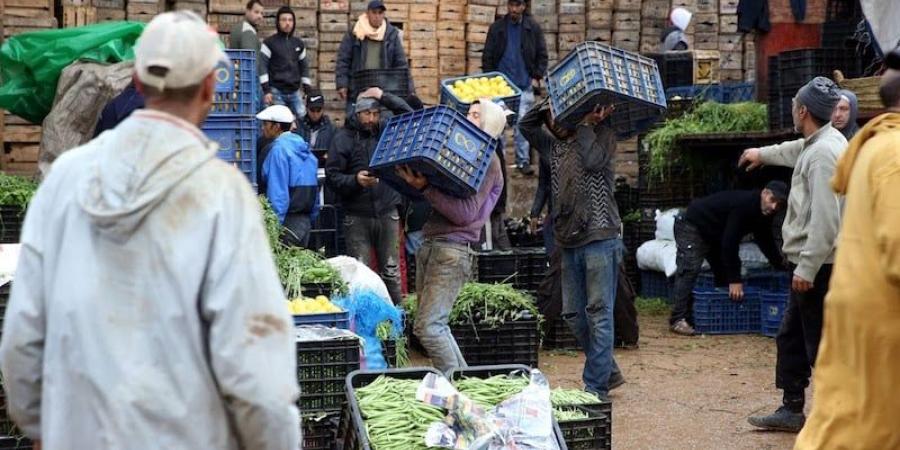 المغرب يسجل وفرة غير مسبوقة في الخضر والفواكه بأسواق الجملة - بوابة المدينة برس