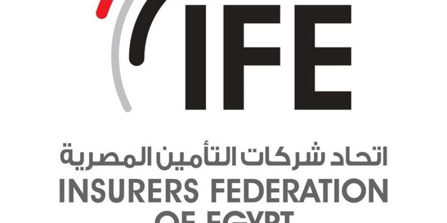 اتحاد شركات التأمين المصرية: أسواق جنوب أفريقيا نموذج رائد للنمو والابتكار - المدينة برس