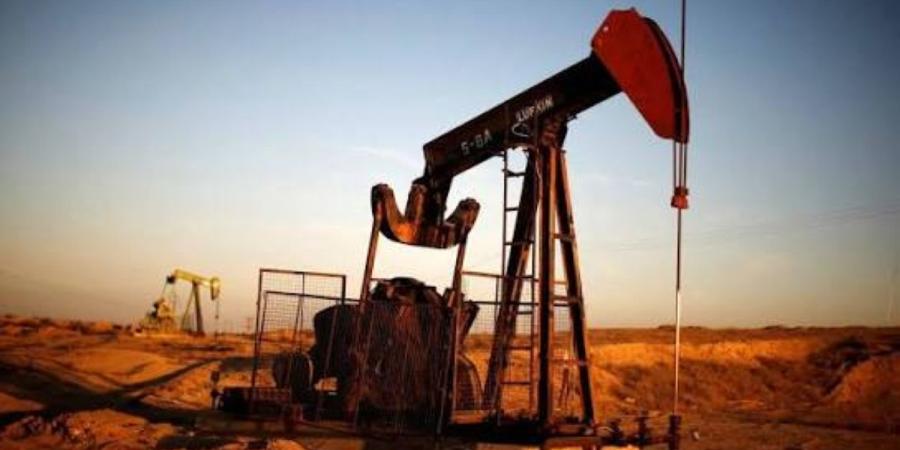 النفط يهوي بعد إلغاء ترامب لهجوم على إيران أملا في إبرام اتفاق - بوابة المدينة برس