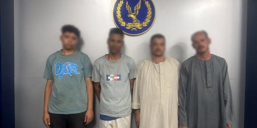 من أجل الجلود فقط.. قصة ذبح 9 حمير بجوار مصرف مائي في سوهاج - المدينة برس