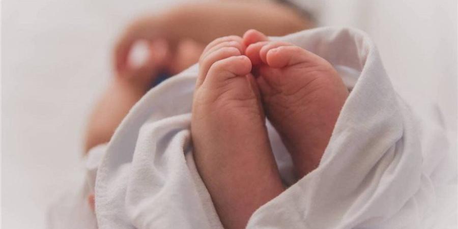 تحريات مكثفة لحل لغز العثور على جثة طفل حديث الولادة ملقاة في حديقة ب15 مايو - المدينة برس