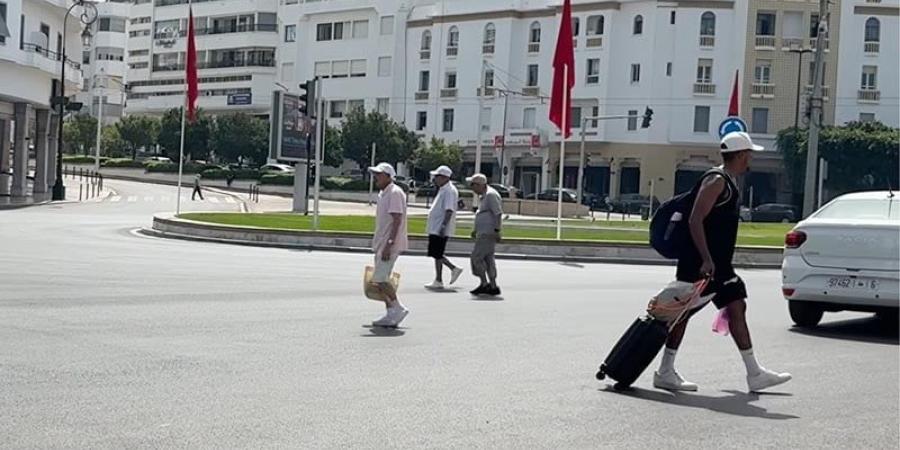 ممرات الراجلين والفوضوية - بوابة المدينة برس