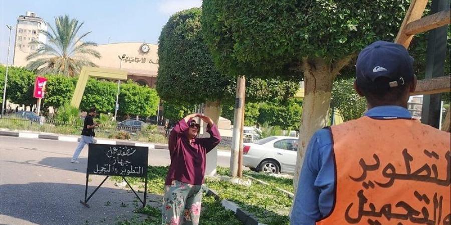 جهاز التطوير والتجميل بالإسماعيلية يواصل رفع كفاءة وتجميل الشوارع والميادين - المدينة برس