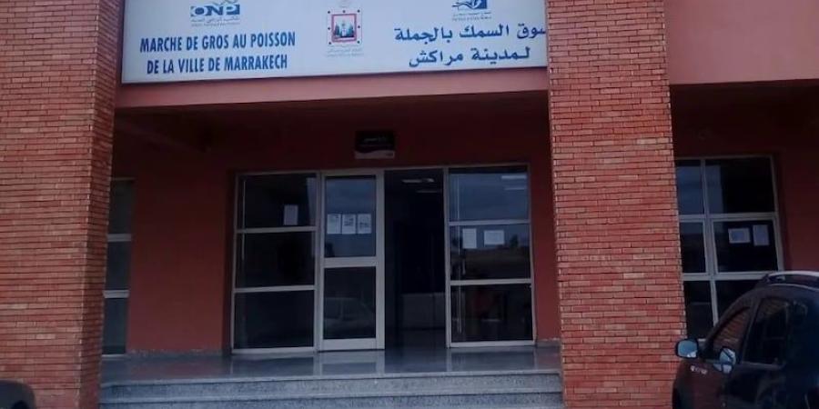 سوق السمك على صفيح ساخن بمراكش .. و"مكتب الصيد" ينفي التضييق - بوابة المدينة برس