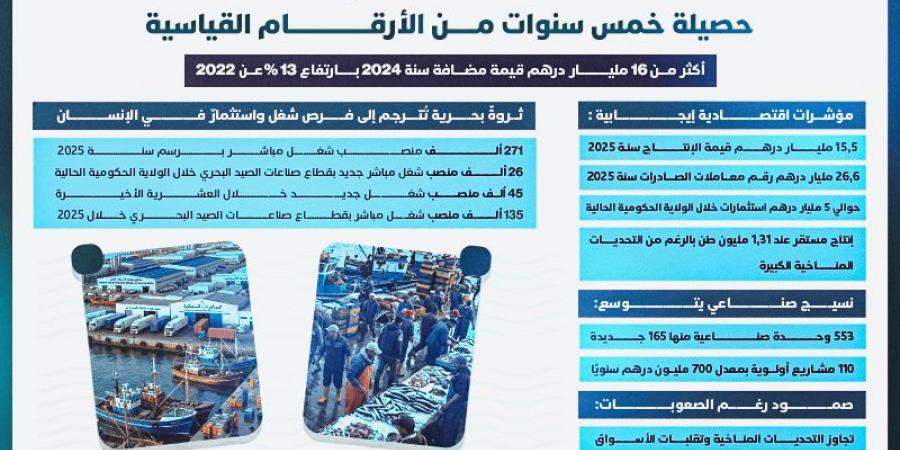 قطاع الصيد البحري يصمد ويكبر .. حصيلة 5 سنوات من الأرقام القياسية - بوابة المدينة برس