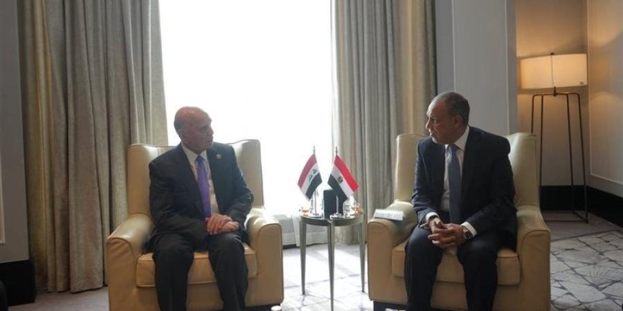 وزير الخارجية: استقرار العراق ركن أصيل للأمن القومي العربي والمصري - المدينة برس