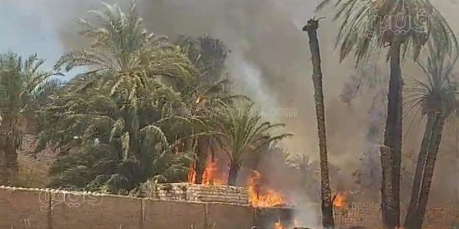 اندلاع حريق بقرية عطف حيدر في المنيا والحماية المدنية تدفع بسيارات الإطفاء(صور) - المدينة برس