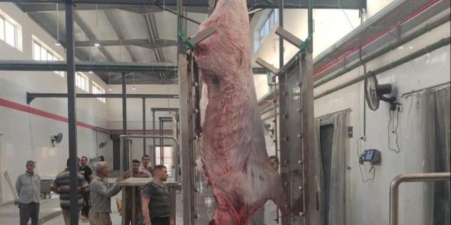 بعد بدء التشغيل التجريبي، أبرز الخدمات المقدمة للمواطنين في مجزر أخميم الجديد بسوهاج - المدينة برس