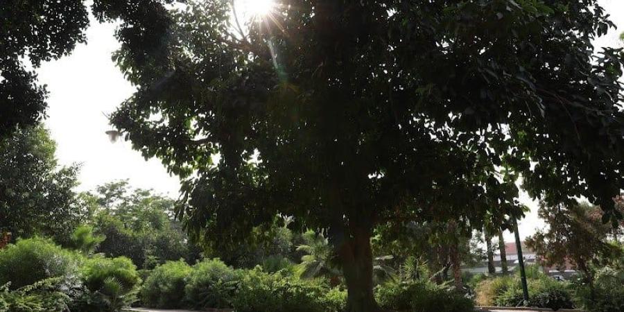 توقعات طقس اليوم الجمعة بالمغرب - بوابة المدينة برس