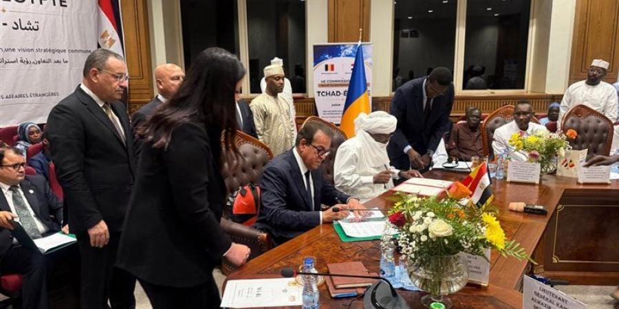 تدريب الأطباء وتطوير المستشفيات، مصر تدعم القطاع الصحي في تشاد - المدينة برس