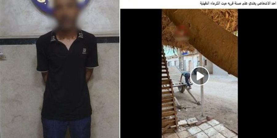 خلاف على قرض مالي ينتهي بإصابة سيدة سبعينية في طلخا والأمن يكشف كواليس الواقعة - المدينة برس