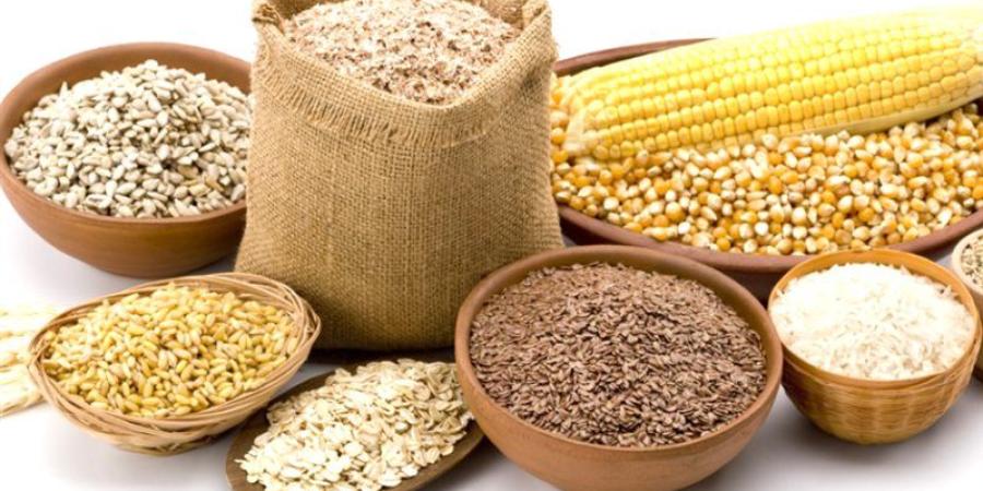 انخفاض الذرة والصويا والردة، أسعار الأعلاف والحبوب اليوم في الأسواق - المدينة برس