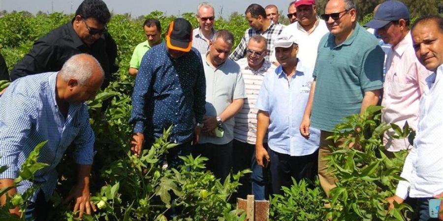رئيس "البحوث الزراعية" يتفقد محطة الجميزة لمتابعة برامج المحاصيل وإنتاج التقاوي - المدينة برس