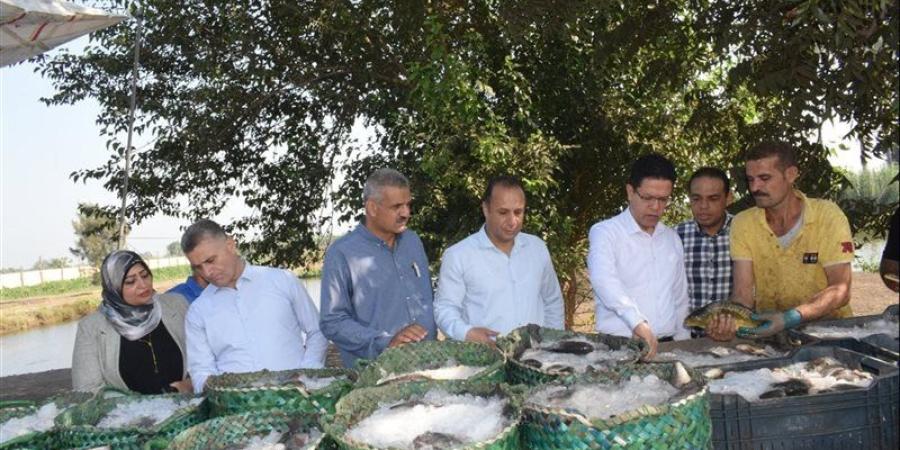رئيس جامعة بنها يتفقد مزارع كلية الزراعة بمشتهر - المدينة برس