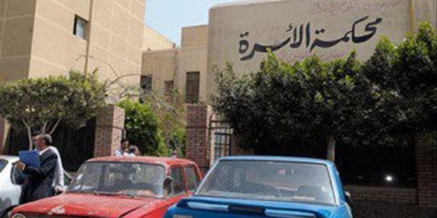 حكم قضائي يعيد صلة الأرحام، إلزام أم بتمكين الجد والجدة من رؤية حفيدهما - المدينة برس