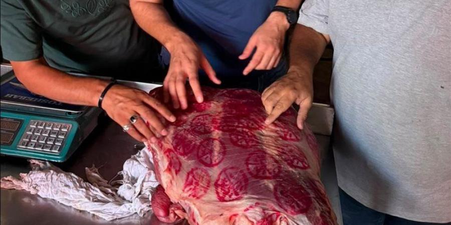 تموين الفيوم تتحفظ على لحوم فاسدة قبل طرحها للبيع في الأسواق - المدينة برس
