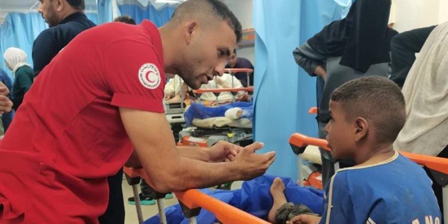 دعم نفسي ومساندة لأسر الضحايا.. تحرك عاجل للهلال الأحمر بالإسماعيلية (صور) - المدينة برس