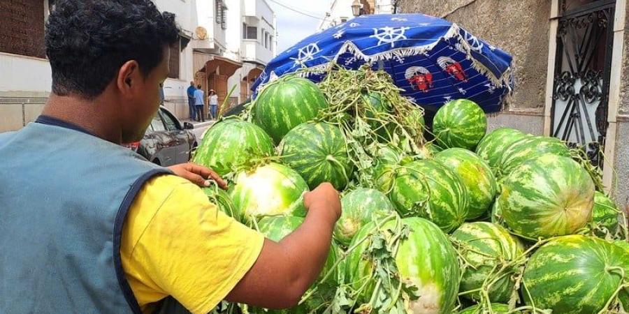 أسعار البطيخ الأحمر تهوي بالضيعات - بوابة المدينة برس