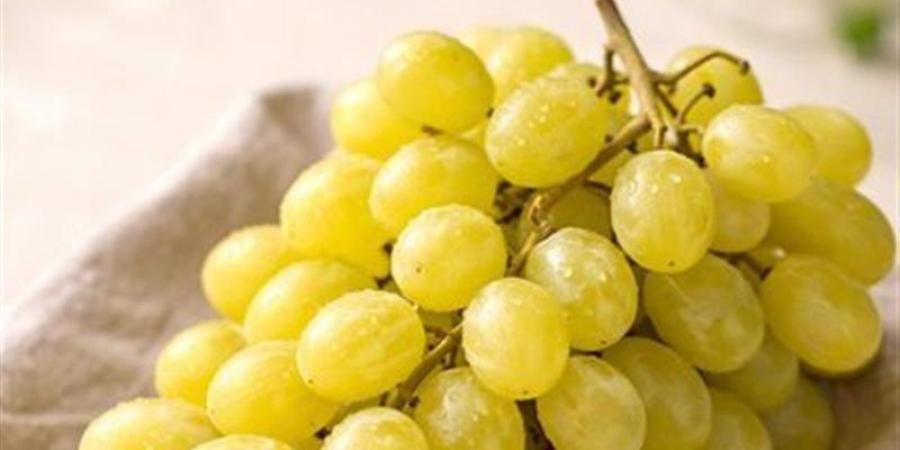 تفسير رؤية العنب الأصفر في المنام وعلاقتها بقدوم مال من ميراث - المدينة برس