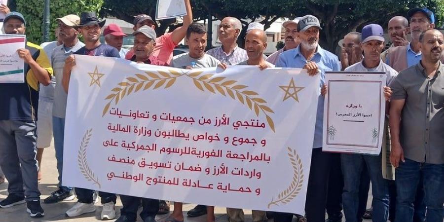 توريد الأرز يقفز 116% .. والمنتجون المغاربة يحذرون من اندثار الزراعة - بوابة المدينة برس