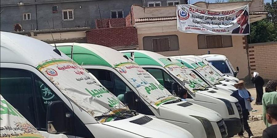 الكشف على 1284 مواطنًا خلال قافلة طبية بقرية أم حبيب بالإسماعيلية - المدينة برس