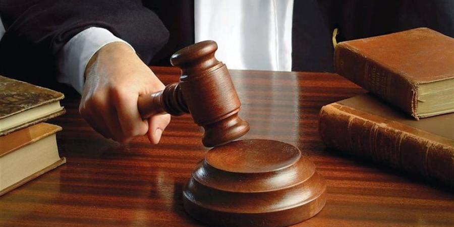 تأييد سجن علي أيوب 3 سنوات بتهمة سب وقذف وزيرة الثقافة السابقة - المدينة برس