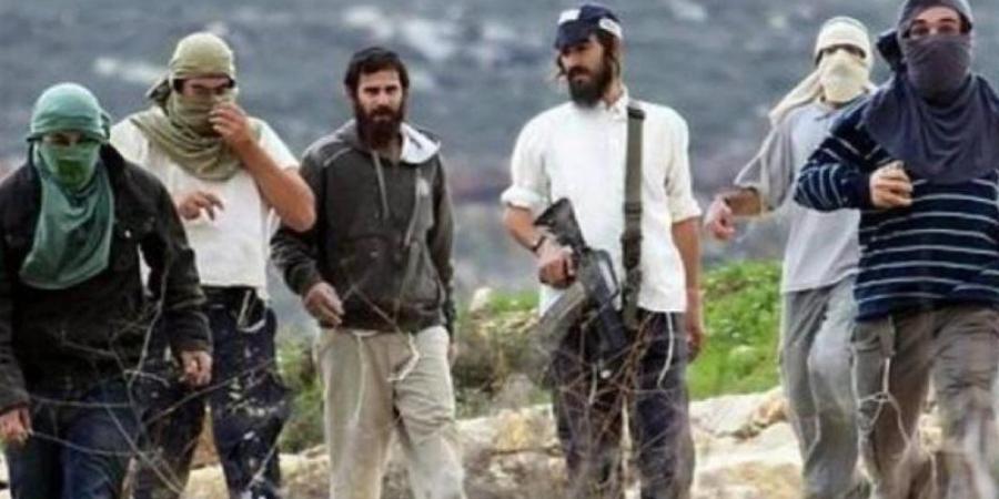 إعلام عبري: إصابة مستوطن في رأسه جراء رشقه بالحجارة قرب مستوطنة كريات 4 شرق الخليل - المدينة برس