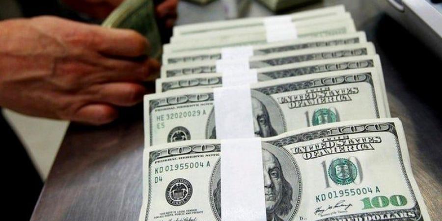 تحويلات الجالية الهندية تتجاوز 50 مليار دولار - بوابة المدينة برس