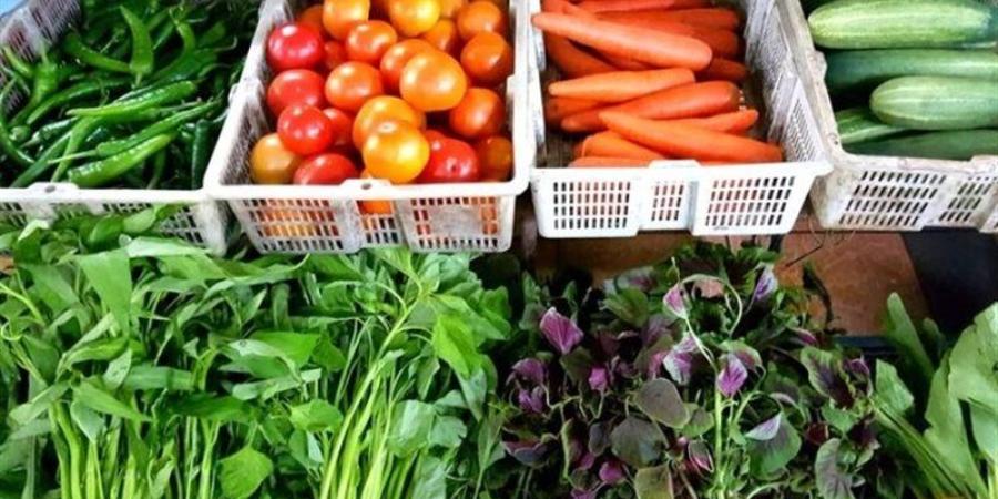 سعر الخضار اليوم، الليمون يسجل 25 جنيها وانخفاض جديد في الطماطم وارتفاع الخيار - المدينة برس